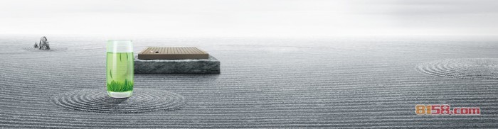 竹叶青茶叶怎么样