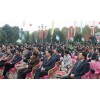 赵李桥青砖茶