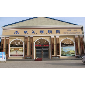 威尔斯