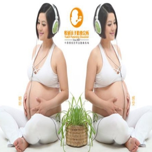 悦迪亲子胎教