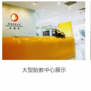 悦迪亲子胎教