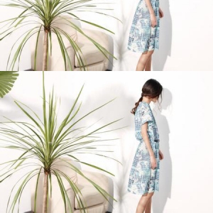 白茶女装