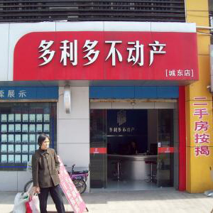 多利多不动产