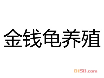 加盟金钱龟养殖利润怎么样？