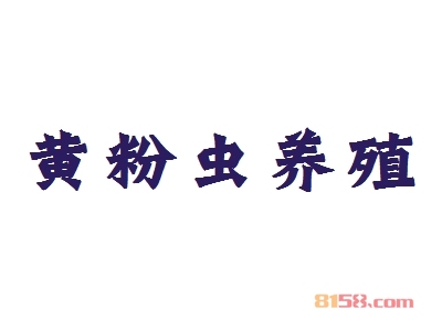 加盟黄粉虫养殖能不能赚钱？