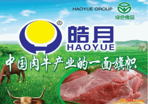 皓月牛肉