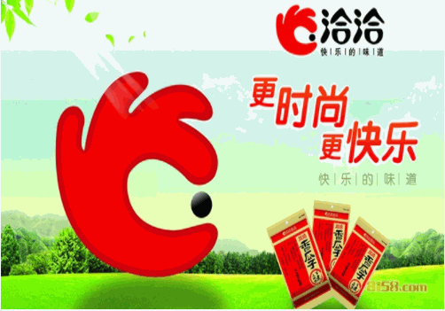 洽洽瓜子 洽洽瓜子