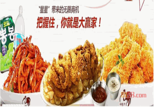 沙月炸鸡加盟费用多少钱