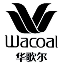 wacoal内衣