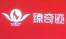 臻奇迹化妆品