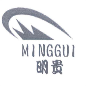 MGG明贵视力