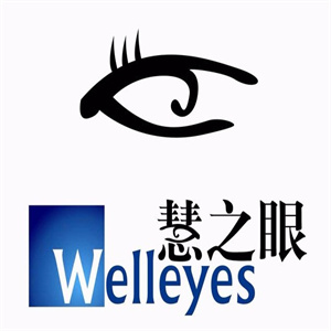 慧之眼眼镜