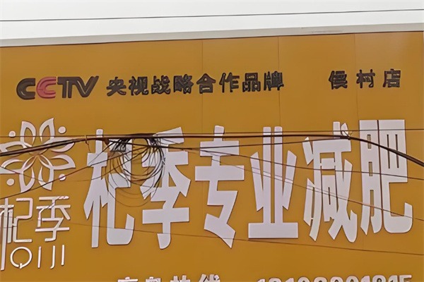 杞季减肥