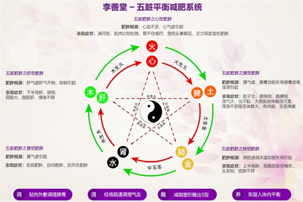 李善堂减肥