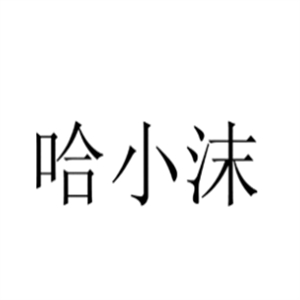 哈小沫酸奶水果捞加盟