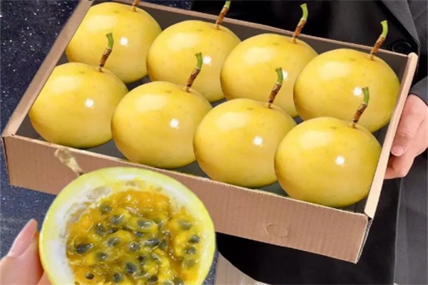 百园果香水果
