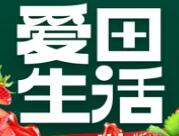 爱田生活水果