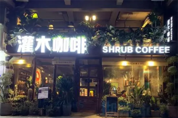 灌木咖啡