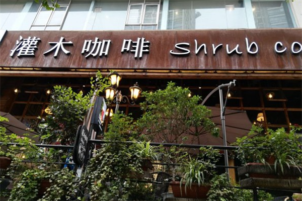 灌木咖啡