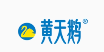 黄天鹅鸡蛋
