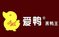 爱鸭黑鸭王