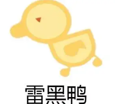 雷黑鸭