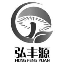 弘丰源18元自助水饺加盟