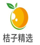 桔子精选酒店