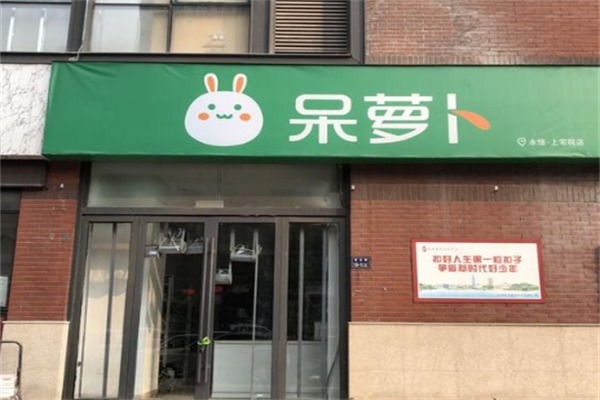 呆萝卜