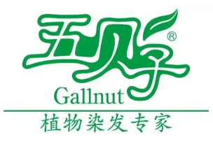 五贝子植物染发专家