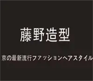 藤野造型
