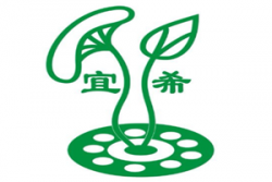 宜希藕王养生汤