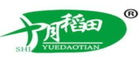 十月稻田