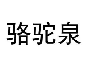 骆驼泉烤包子