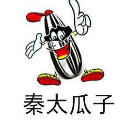 秦太瓜子