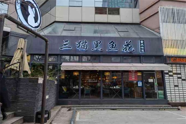 三猫黑鱼花