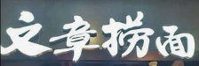 文章捞面
