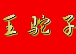 王驼子臭豆腐