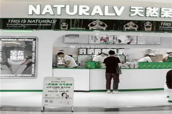 天然呆奶茶店