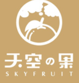 天空之果