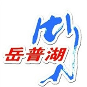 岳普湖大饼