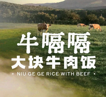 牛嗝嗝大块牛肉饭