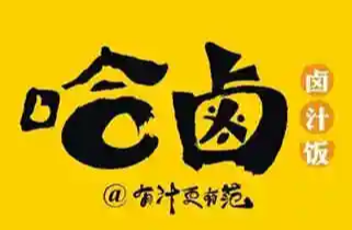 哈卤卤汁饭