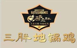 皖北三胖地锅鸡