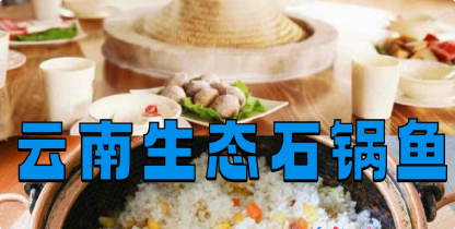 云南生态石锅鱼