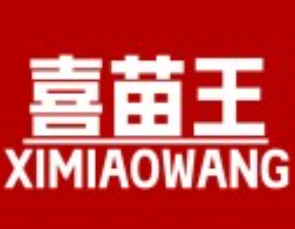 喜苗王·羊肉粉