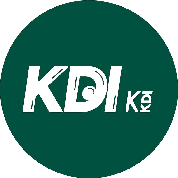 KDI奶皮子手工酸奶