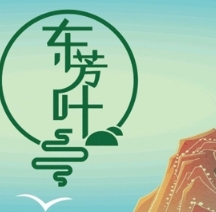 东芳叶·新式国茶
