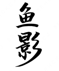 鱼影新概念酸菜鱼