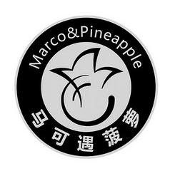 马可遇菠萝